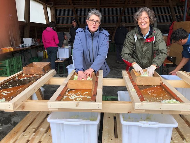 Bildrecht: OGV-Hörbranz