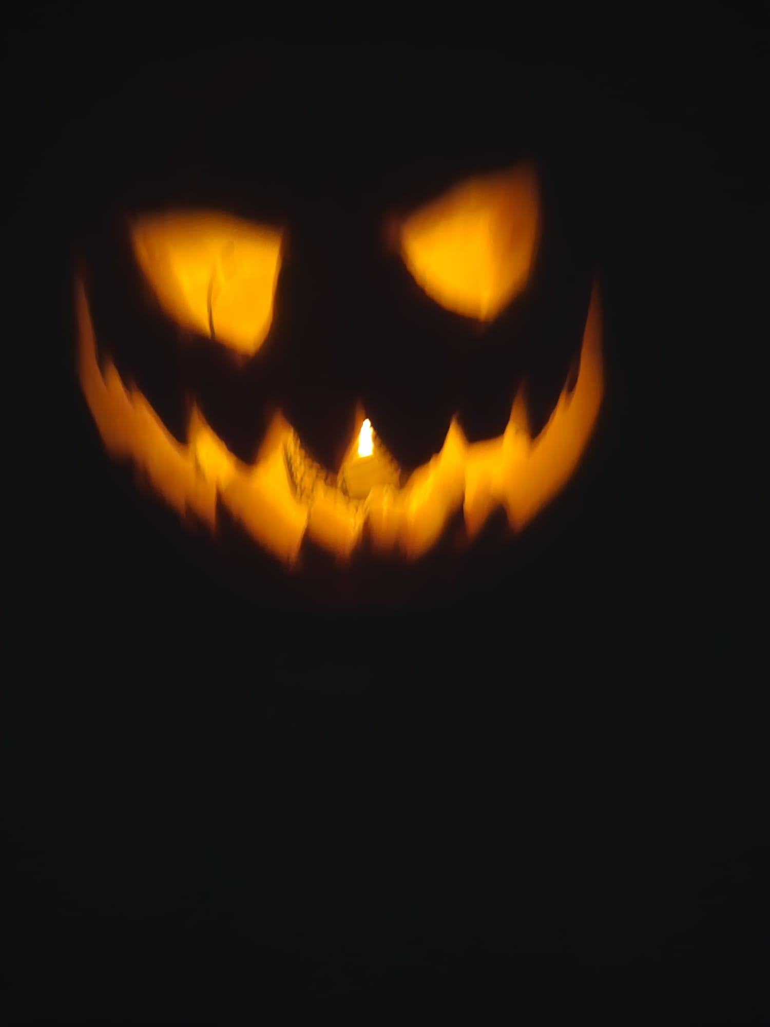 Kürbisse von Leano und Emilio Lerch